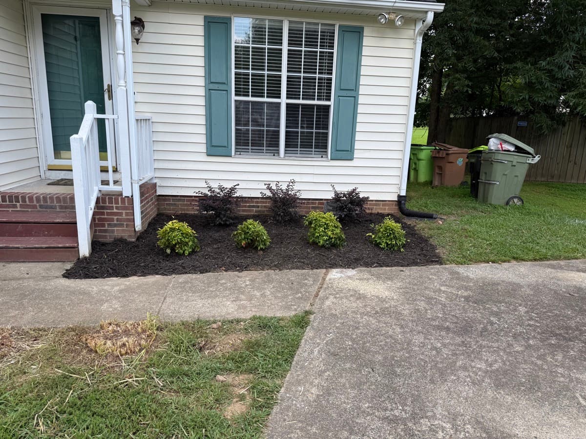 After: New Plantings & Mulch Install