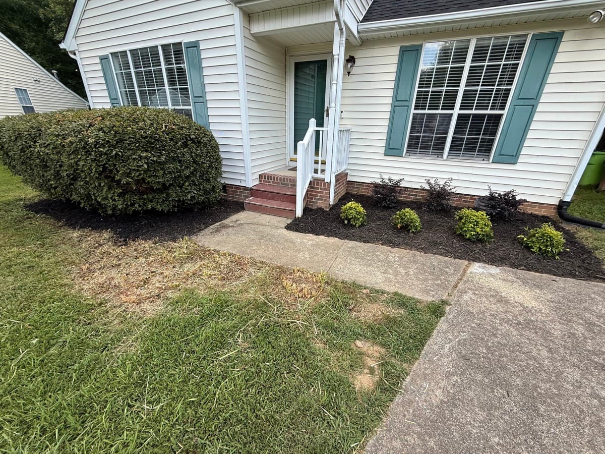 After: Shrub Trimming & Bed Cleanup