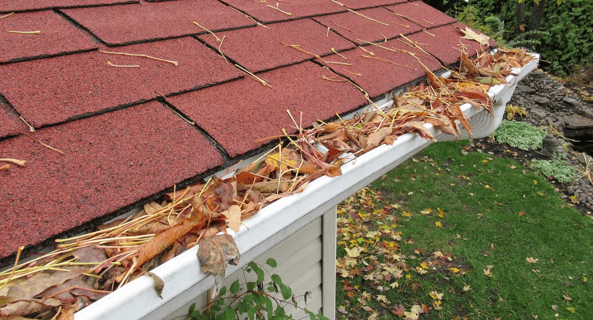 Before: Gutter Cleaning: Fall Leaf Clearout