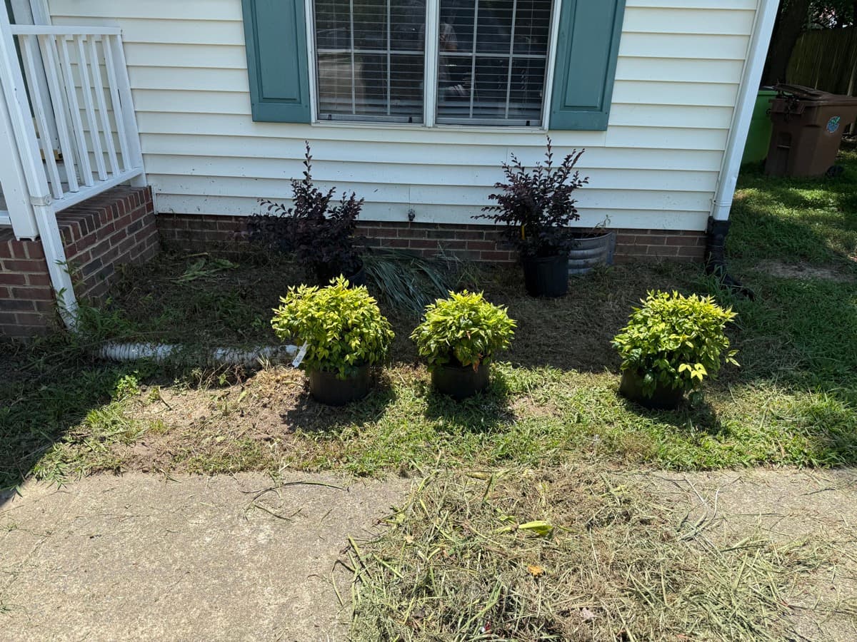 Before: New Plantings & Mulch Install