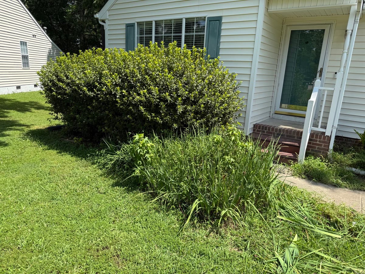 Before: Shrub Trimming & Bed Cleanup