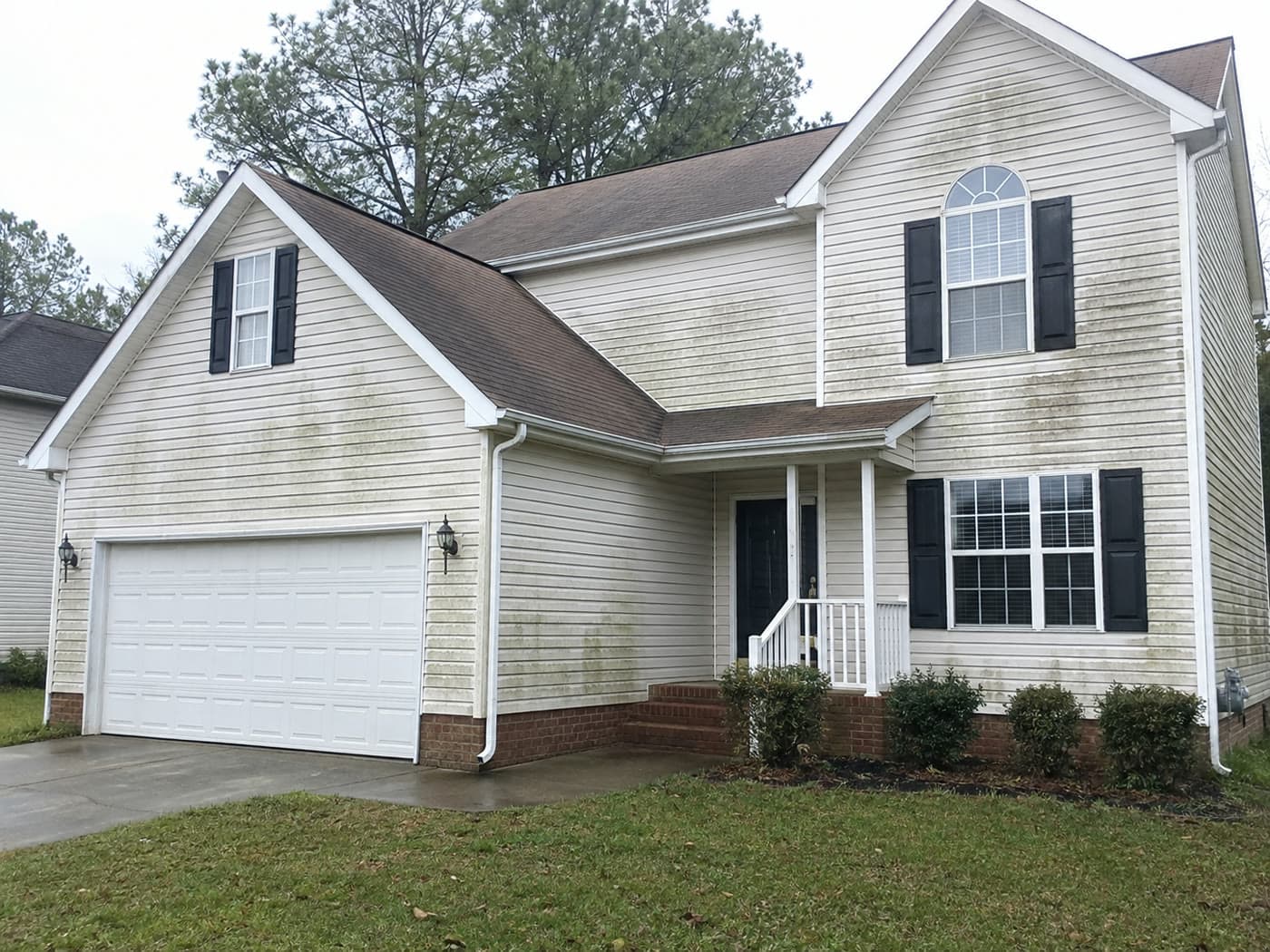 Before: Soft Washing: Siding Algae Removal