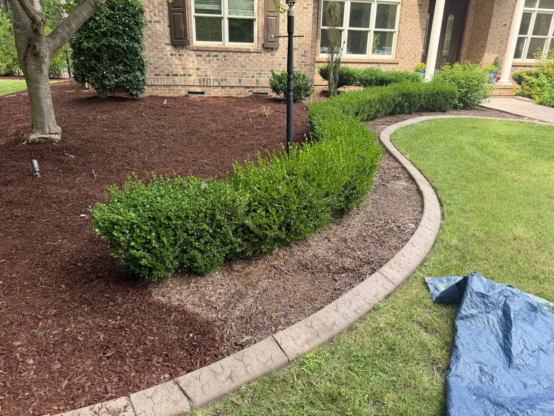 Lawn care in Apex, NC