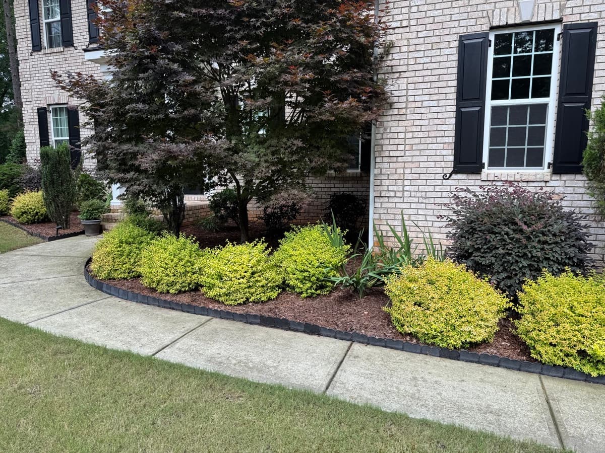 Well-maintained front yard
