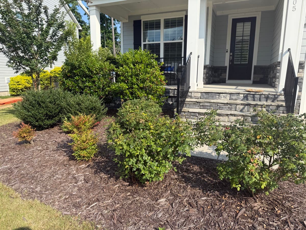 Professional mowing results