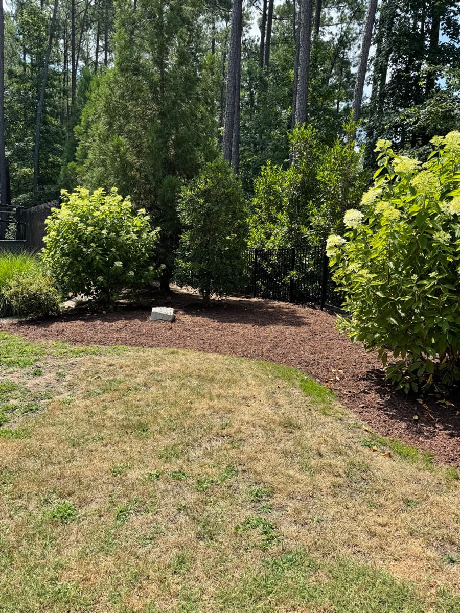 Best Mulch for Holly Springs, NC Gardens (Types Compared)