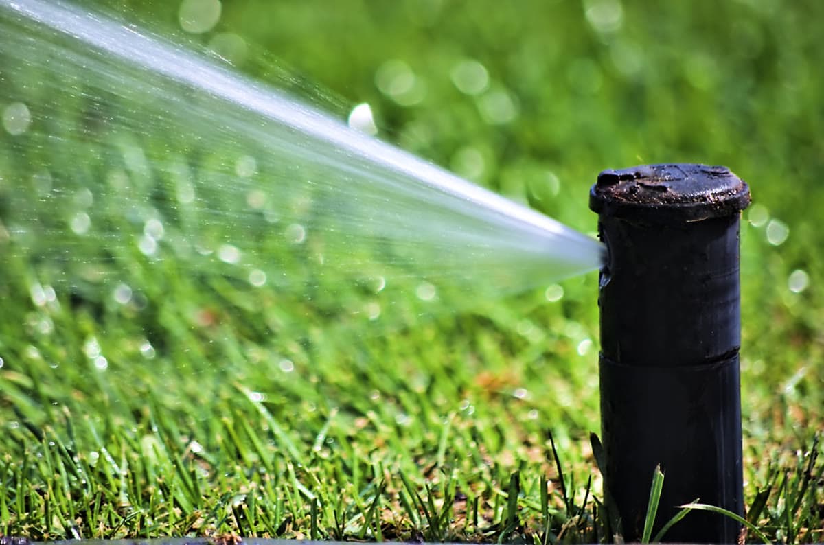 New Sod Watering Schedule for Clay Soil: The First 30 Days